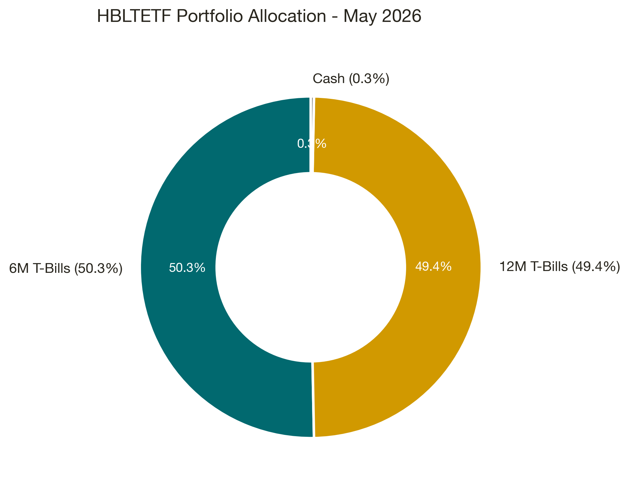 HBLTETF Portfolio Allocation